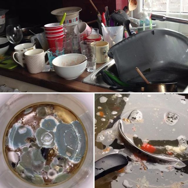 19-річна студентка виграла конкурс на найбруднішу кімнату: вражаючі фото - фото 167516