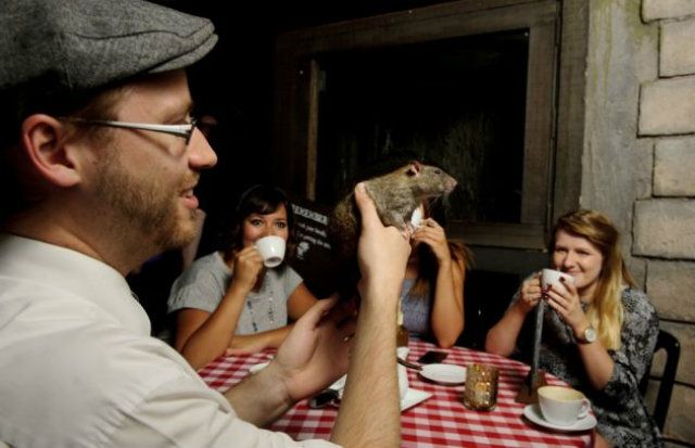 У США відкрили ну ДУЖЕ неординарне кафе: фоторепортаж - фото 167933