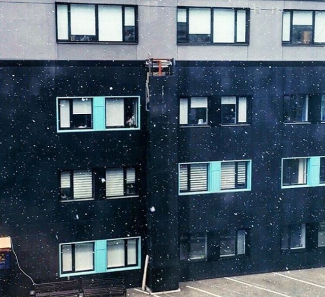 20 днів до літа: у Києві випав сніг: фотофакт