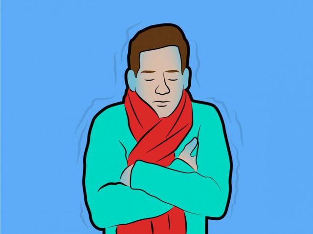 Укус змії чи напад ведмедя: ці міфи про виживання можуть вас вбити - фото 168859