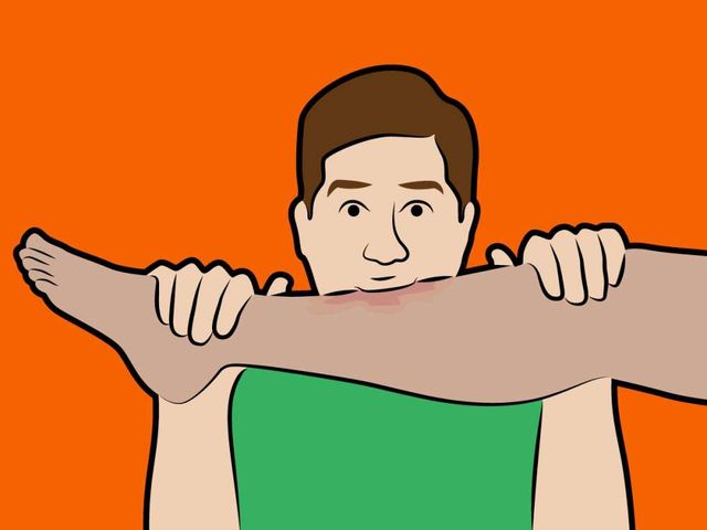 Укус змії чи напад ведмедя: ці міфи про виживання можуть вас вбити - фото 168852