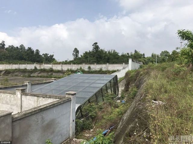 Як виглядає "закинута" станція метро в Китаї: неймовірні фото - фото 166860