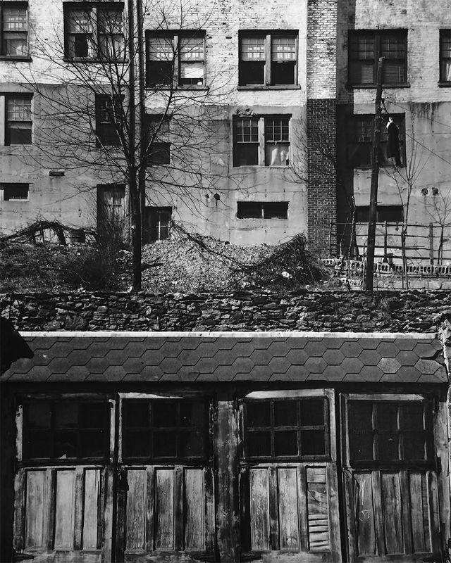 Вражаючі фото, які прославили свого автора після смерті - фото 167387