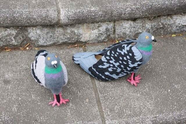 Такого ви ще не бачили! Японка "одягла" на ноги голубів - фото 169411