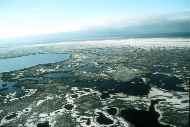 Як виглядає найбільше болото в світі: дивовижні фото - фото 166989