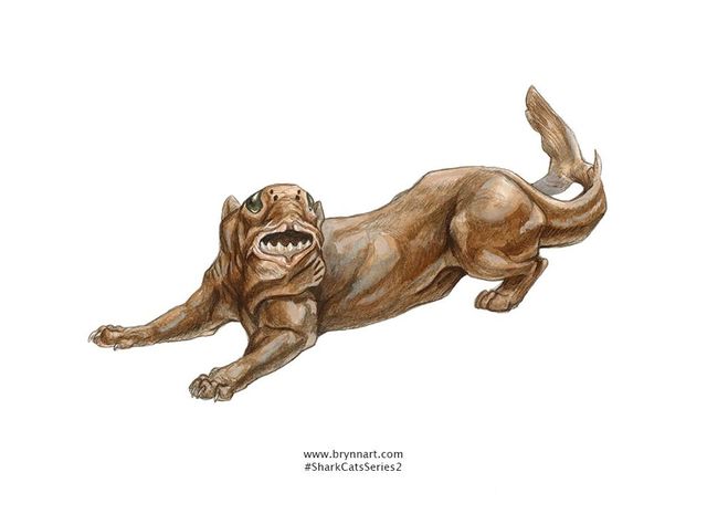 Якби акули були котами: веселі ілюстрації - фото 166645