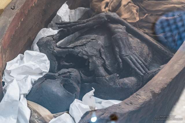 З'явилися перші фото сенсаційних мумій, яких виявили у Києві - фото 164400