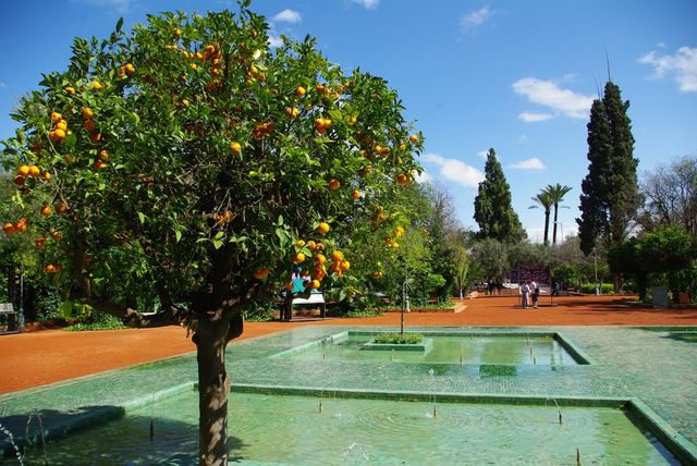 مراكش - фото 169645