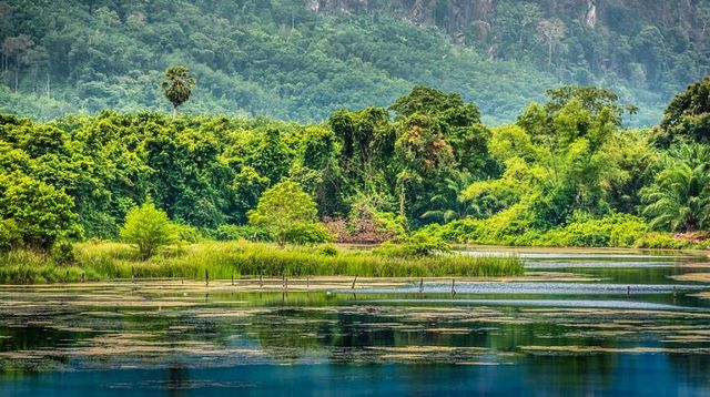 Райський острів: дивовижні фото місць і пляжів Пхукета - фото 168394