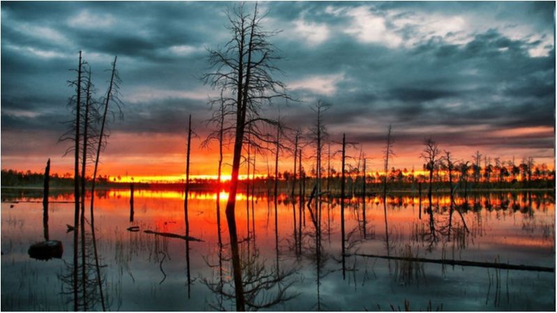 Неймовірно! - фото 1