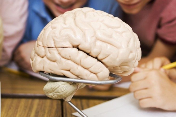 Як мозок попереджає нас про майбутнє - фото 1