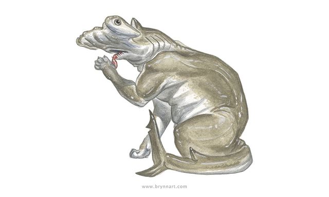 Якби акули були котами: веселі ілюстрації - фото 166656