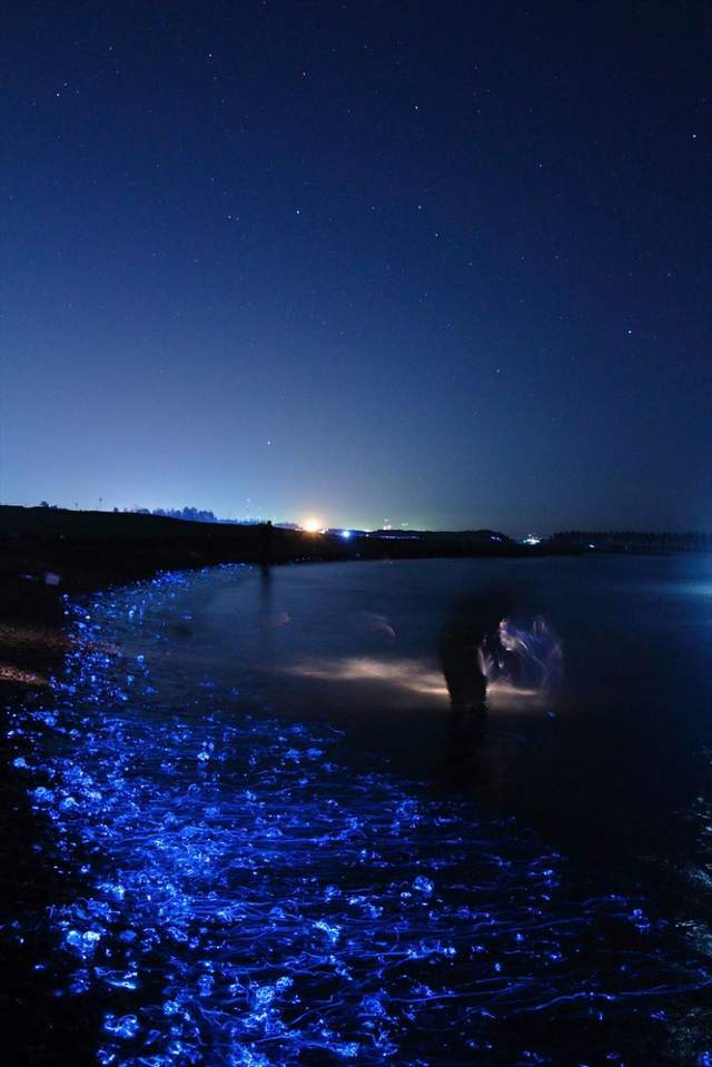 Як виглядає унікальне море, що світиться: казкові фото - фото 168708