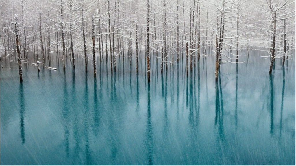 Вражаючі фото, на яких немає ні краплі фотошопу