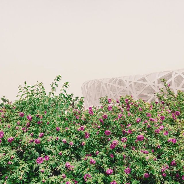 @uuu_uana - фото 164276