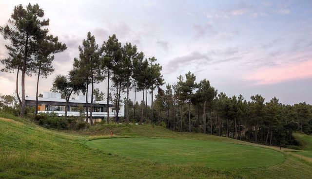 Ніякого золота! Вражаючі фото дивовижної вілли в Іспанії - фото 164823