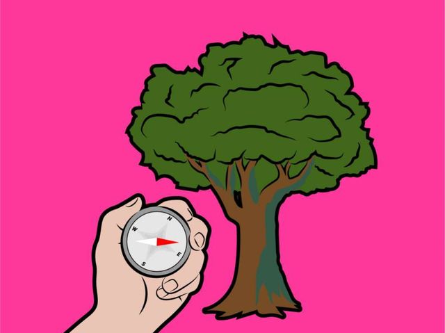 Укус змії чи напад ведмедя: ці міфи про виживання можуть вас вбити - фото 168856