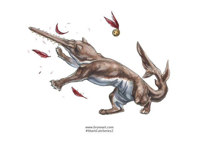 Якби акули були котами: веселі ілюстрації - фото 166638