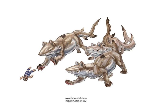 Якби акули були котами: веселі ілюстрації - фото 166651