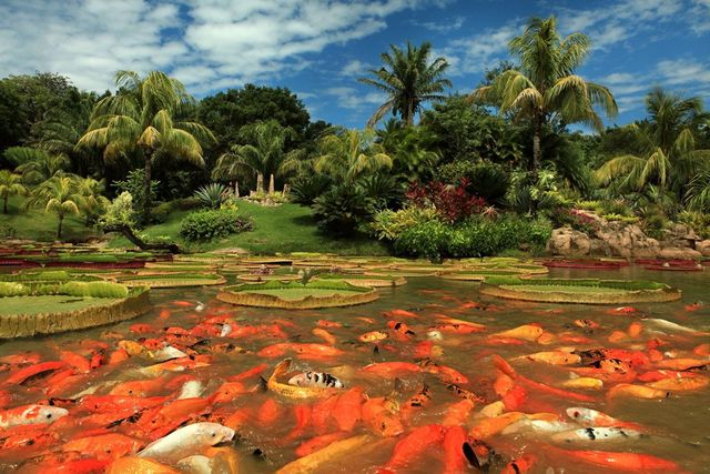 Як виглядає найвище місто світу: вражаючі фото - фото 166687