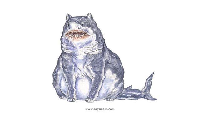 Якби акули були котами: веселі ілюстрації - фото 166661