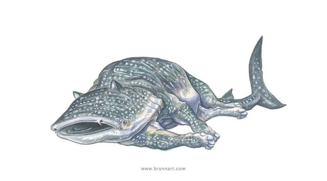 Якби акули були котами: веселі ілюстрації - фото 166659