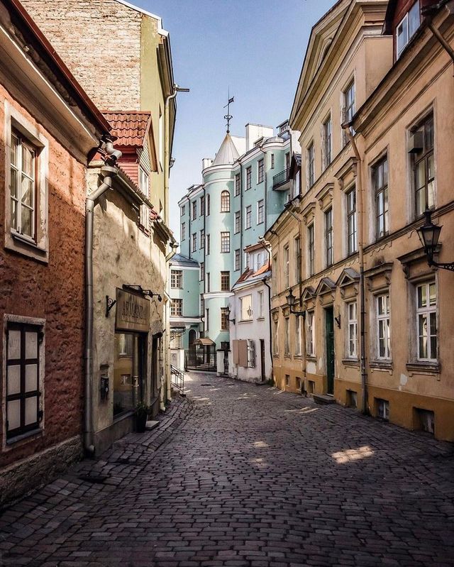 Чарівна Естонія на вуличних фото - фото 166105