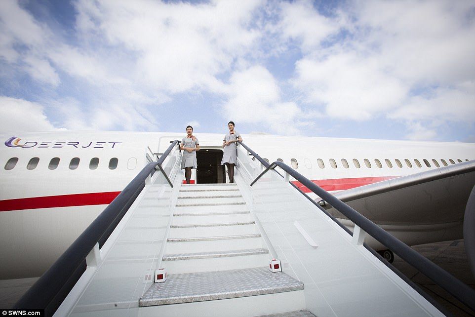 ЗМІ показали розкішні фото першого в світі літака-пентхауса