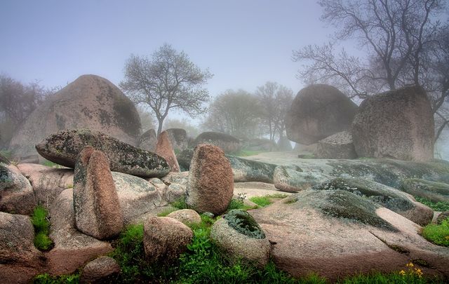 Не ризикуйте! Що не можна робити в Болгарії - фото 167406
