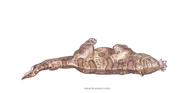 Якби акули були котами: веселі ілюстрації - фото 166650