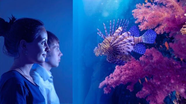 Маніла- фото 167915