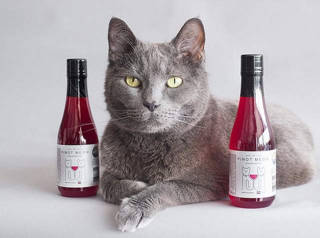Щоб не пити на самоті: американці створили вино для котиків і песиків - фото 170599