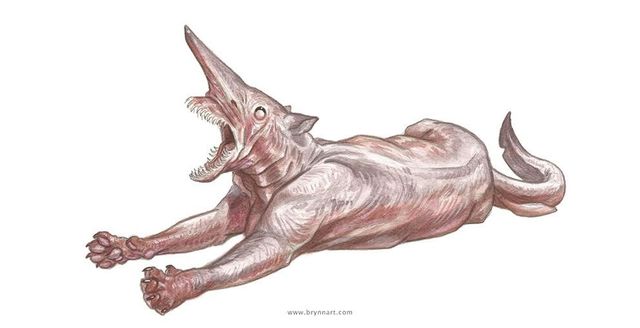 Якби акули були котами: веселі ілюстрації - фото 166654