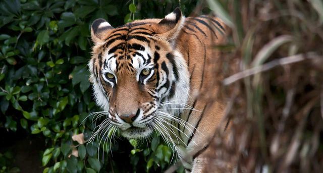 10 чарівних місць світу, які скоро зникнуть - фото 164617