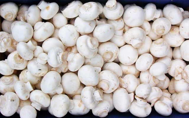 Ці овочі можна сміливо вживати сирими - фото 163850