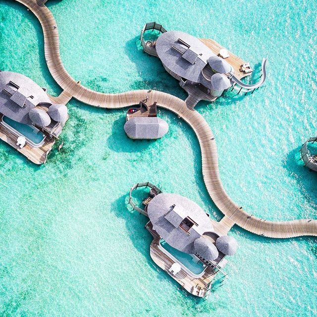 Як виглядає яскравий відпочинок на Мальдівах: літні фото - фото 168997