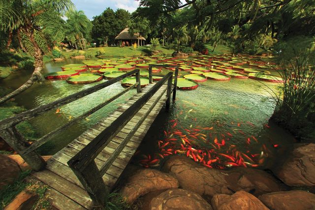 Як виглядає найвище місто світу: вражаючі фото - фото 166679