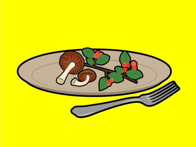 Укус змії чи напад ведмедя: ці міфи про виживання можуть вас вбити - фото 168857