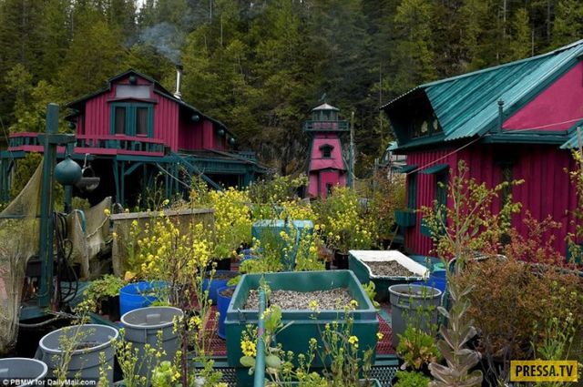 Канадське подружжя 25 років мешкає на воді: ефектні фото - фото 169035