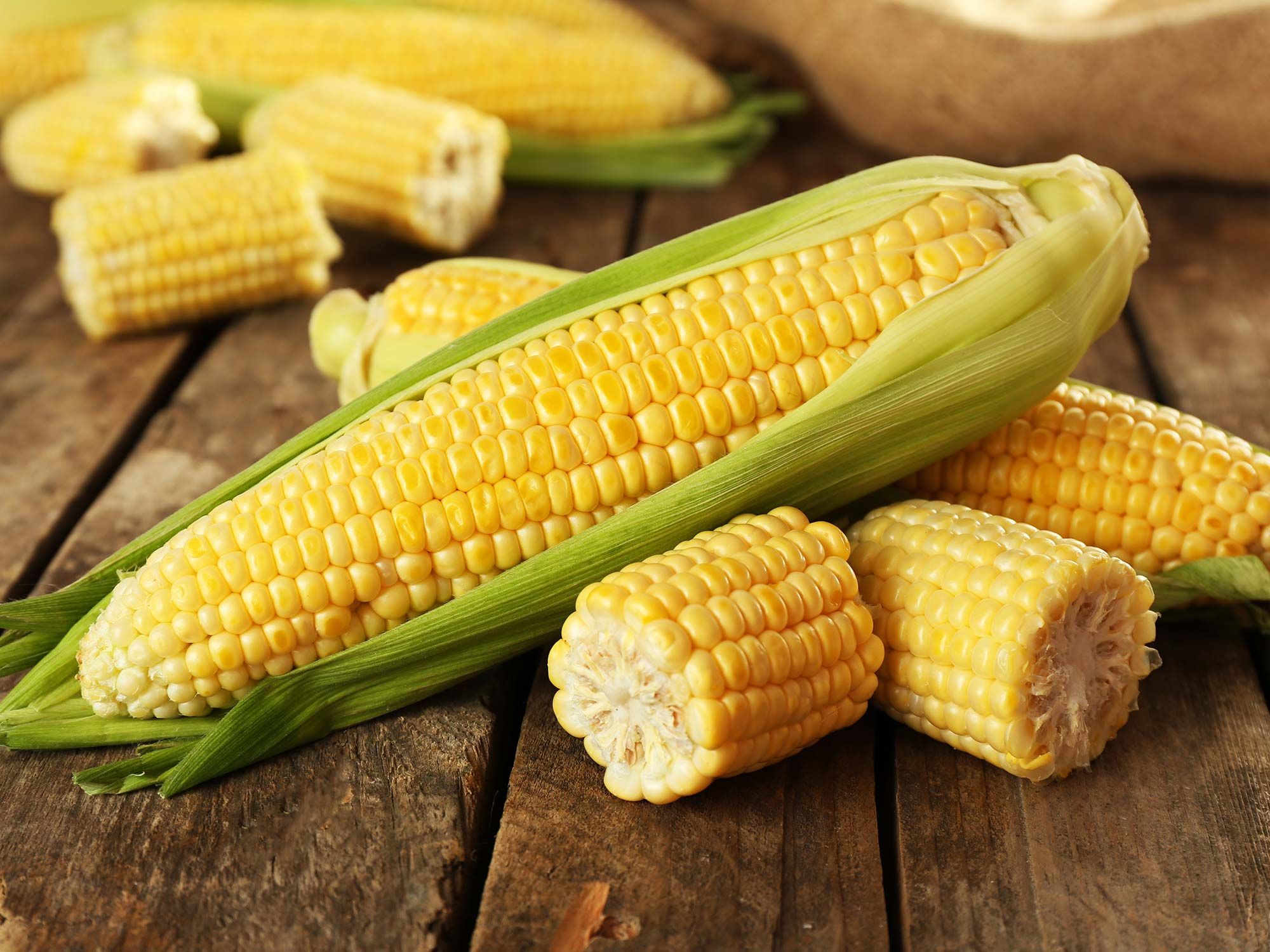 Кукурудза - фото 1