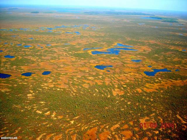 Як виглядає найбільше болото в світі: дивовижні фото - фото 166987