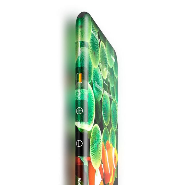 У мережі показали концепт iPhone 2020 року - фото 167834