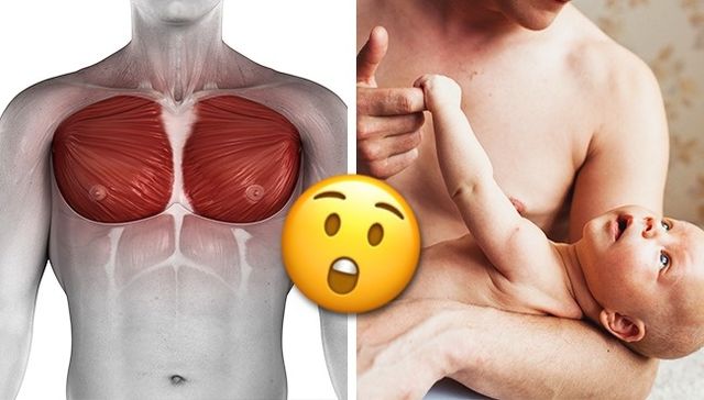 Ці 7 фактів про чоловіче тіло вас точно здивують - фото 165883