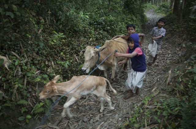 Як живуть юні монахи в Індії: дивовижні фото - фото 167850
