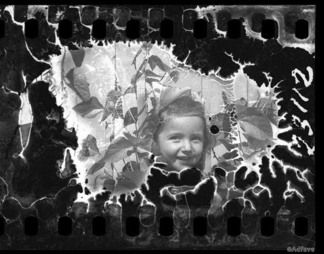 Єврейський фотограф показав світу унікальні знімки 1944-го року - фото 165356