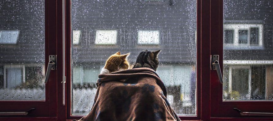 Якою буде погода в Україні до кінця тижня - фото 1