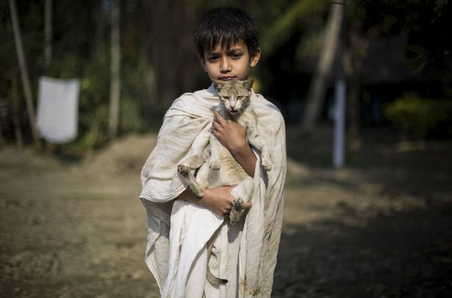 Як живуть юні монахи в Індії: дивовижні фото - фото 167854