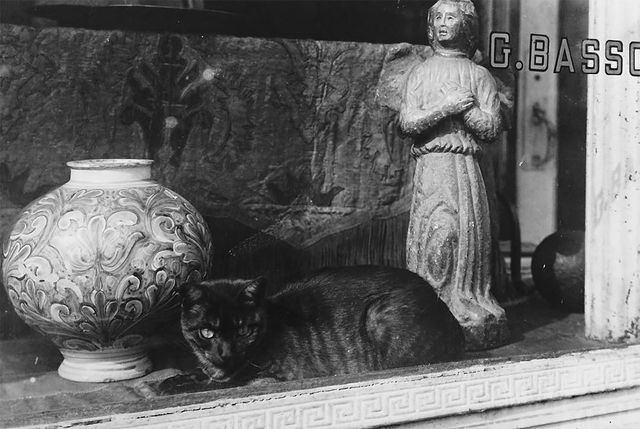 Вражаючі фото, які прославили свого автора після смерті - фото 167377