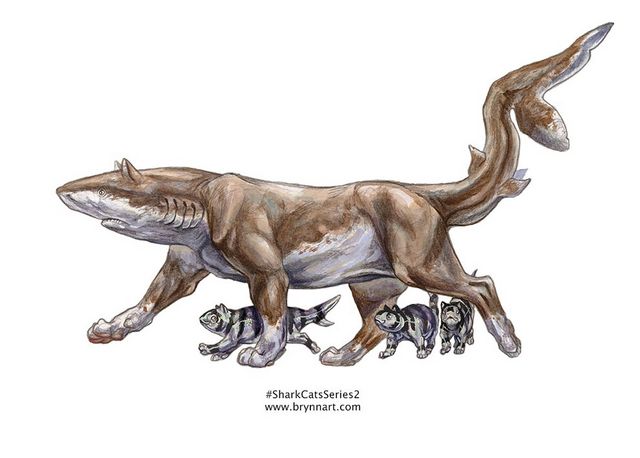 Якби акули були котами: веселі ілюстрації - фото 166644