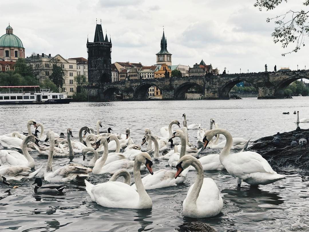 Неймовірна Чехія очима мандрівника: затишні фото